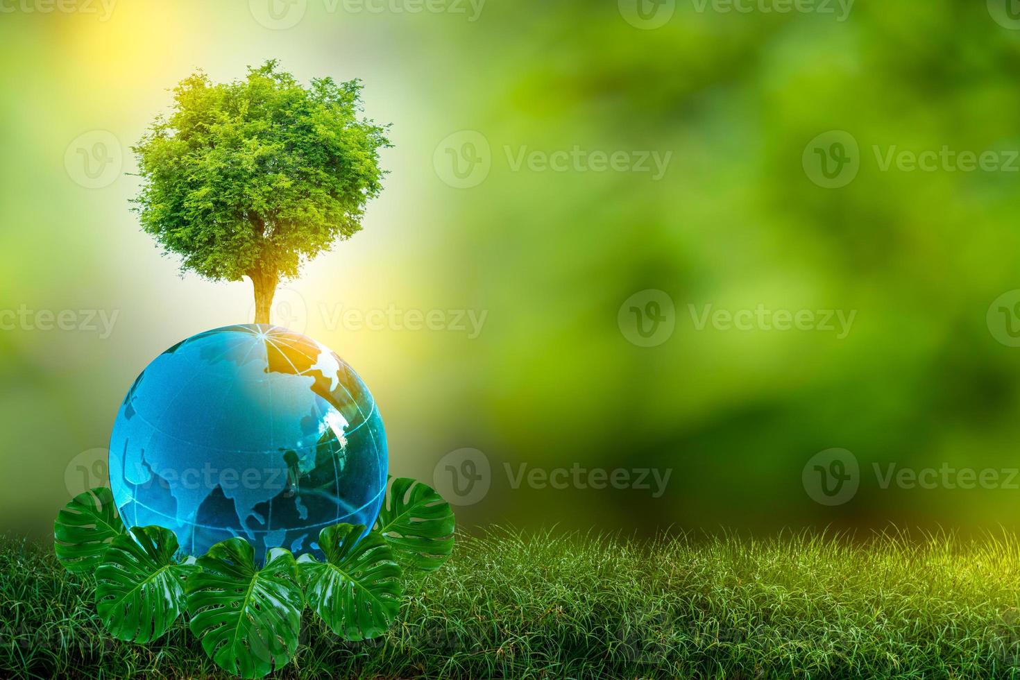 3D-illustration förnybar energi koncept jorddag eller miljöskydd skyddar skogarna som växer på marken och hjälper till att rädda planeten. foto
