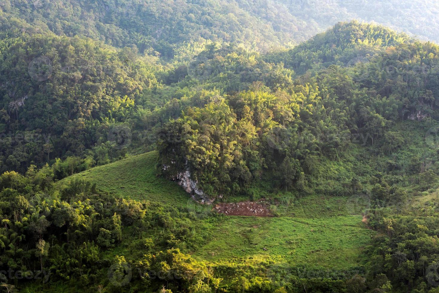 naturskogar med soluppgång vid bergsområde i chiang mai, thailand. foto
