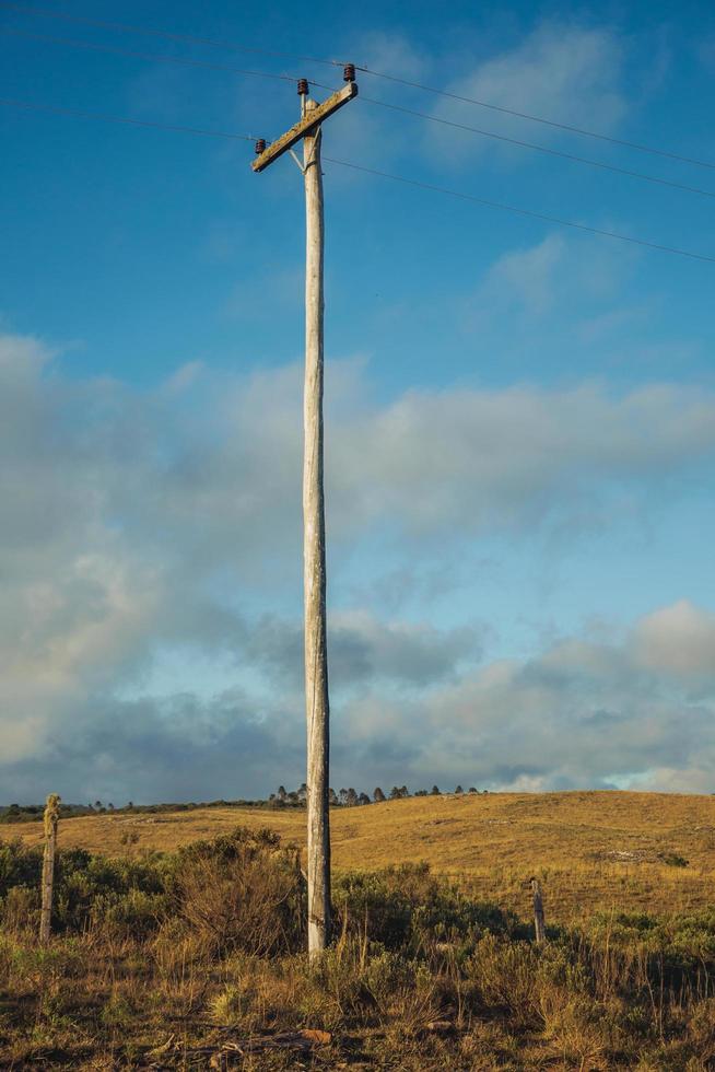 träljusstolpar på landskapet av lantliga lågland som kallas pampas täckta av uttorkade buskar nära cambara do sul. en liten lantstad i södra Brasilien med fantastiska naturliga turistattraktioner. foto