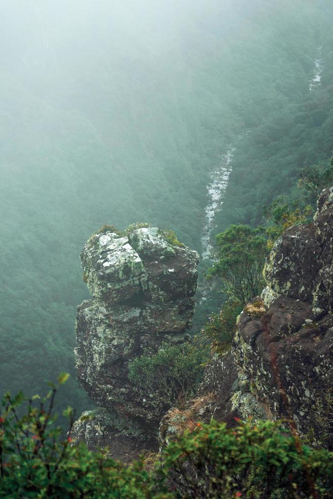 brant klippa med buskar och dimma som kommer upp från dalen vid Serra Geral nationalpark nära Cambara do sul. en liten lantstad i södra Brasilien med fantastiska naturliga turistattraktioner. foto