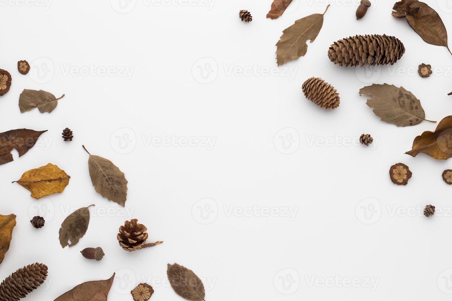 höstkomposition, torkade löv. och kottar på vit bakgrund. platt låg, ovanifrån med kopia utrymme foto
