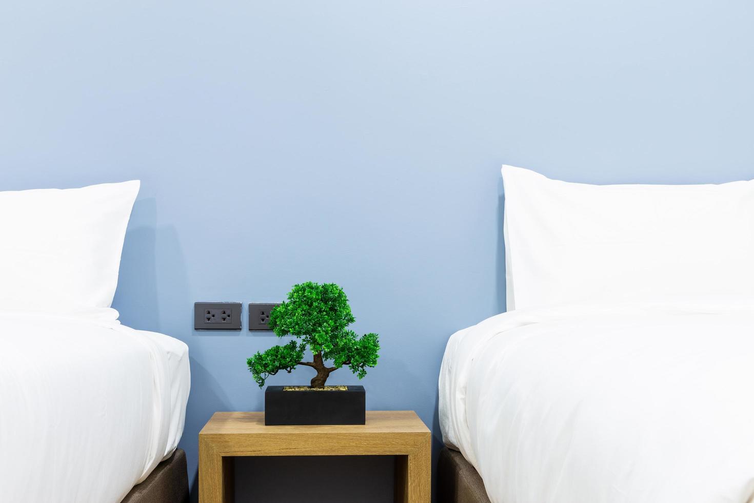närbild av vit kudde på sängdekoration med ljus lampa och grönt träd i blomkrukor i hotellrumsinredning. foto