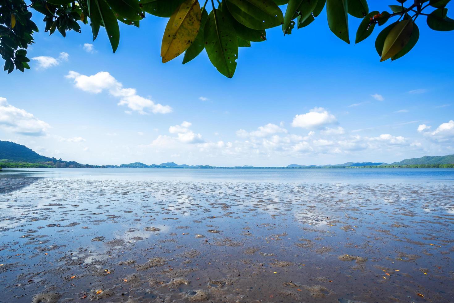 skogen mangrove och havet horisonten i chon buri provinsen, thailand. foto