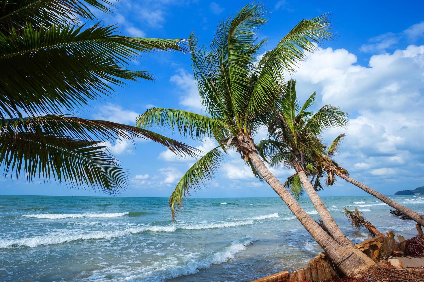 vacker dagtid över kokospalmer med havet horisonten vid hat chao lao beach i chanthaburi thailand. foto