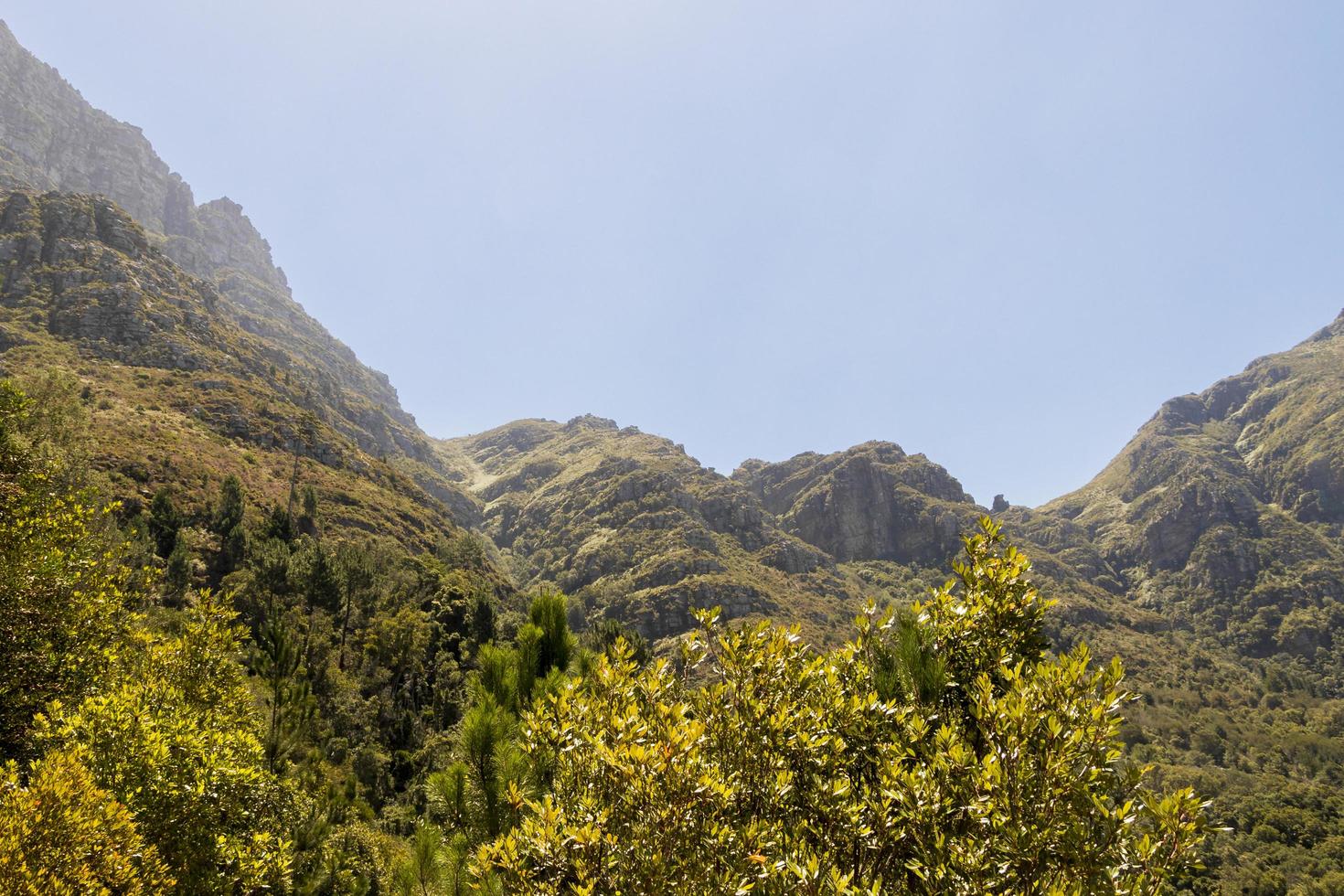 table mountain nationalpark Kapstaden, Sydafrika. foto