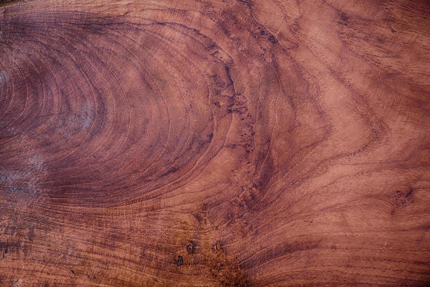 närbild av trä textur foto
