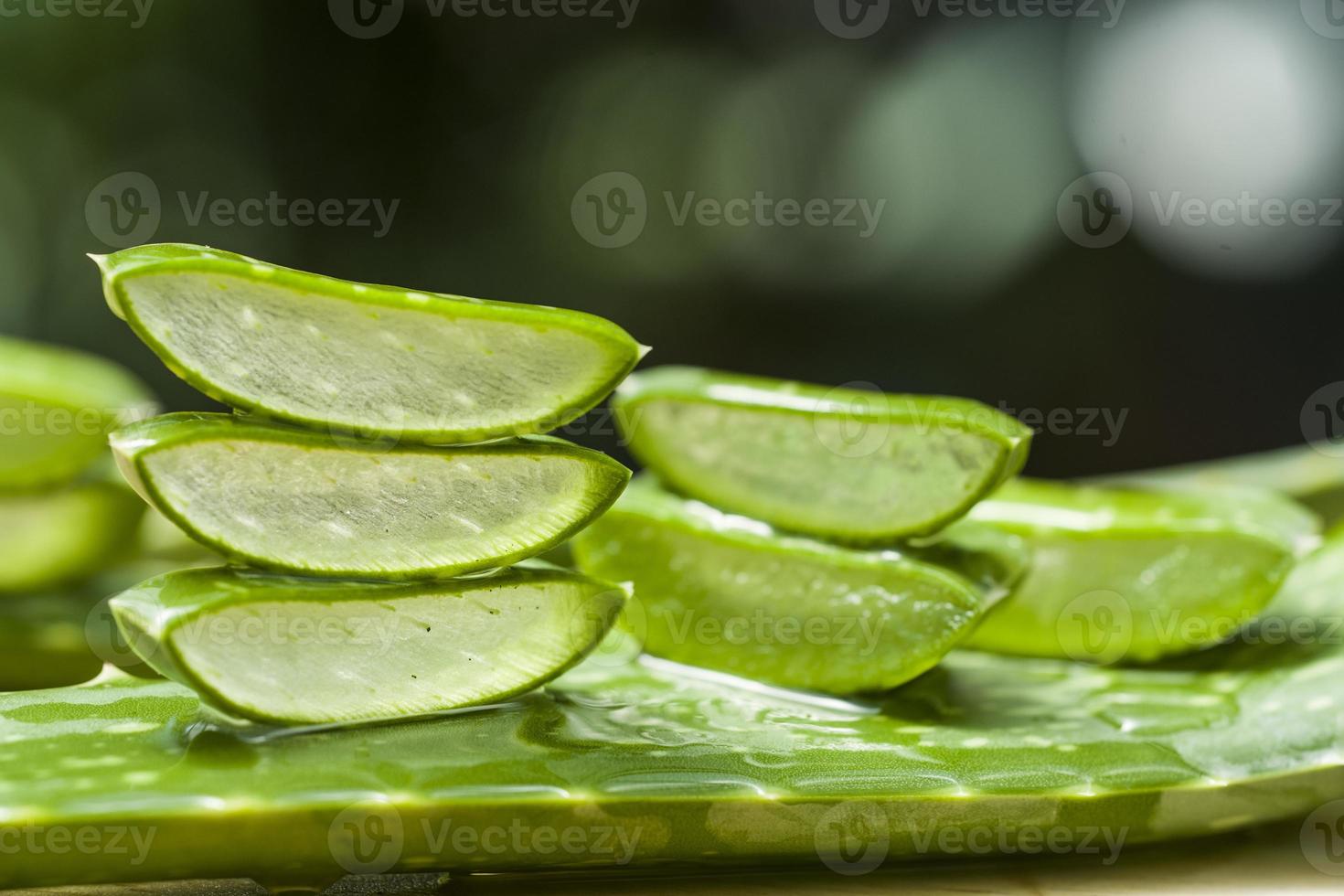 färsk aloe vera foto