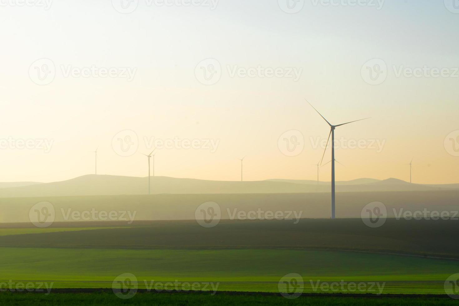 vindkraftverk i fält foto