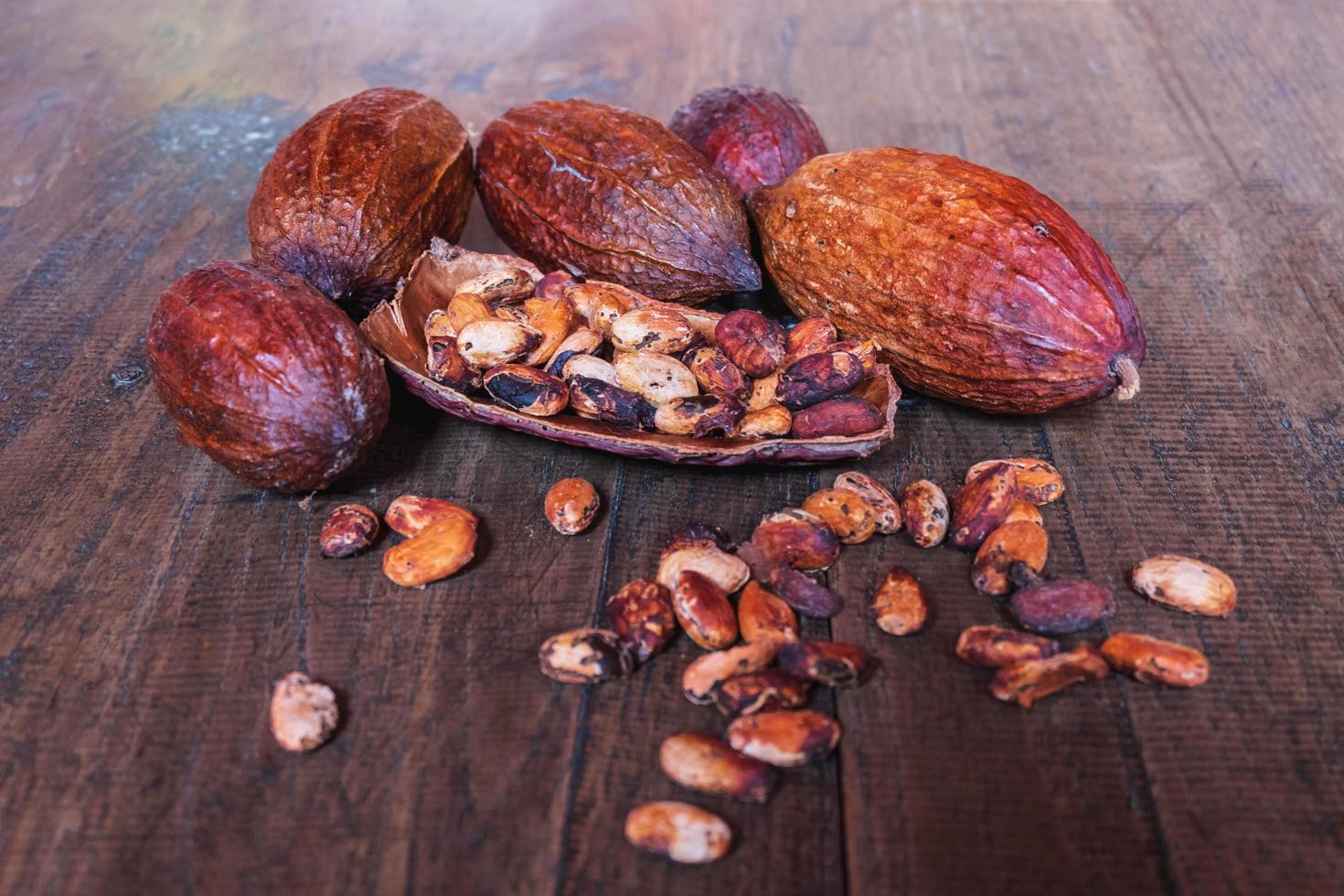 torkad kakaofrukt och torkade kakaobönor på gammal träbakgrund foto