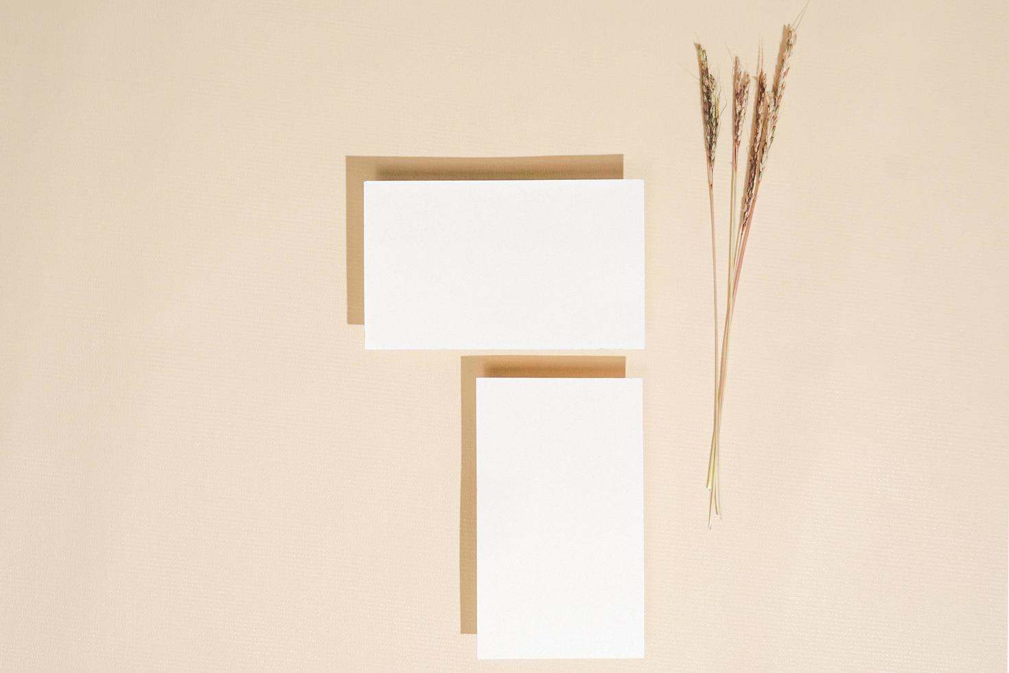 minimalistisk komposition för kopieringsutrymme i estetisk layout foto