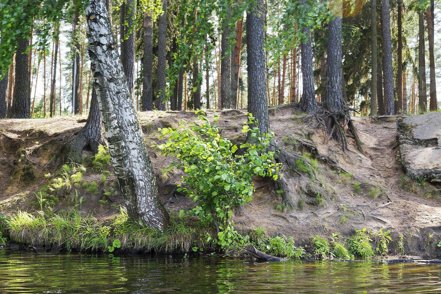 stranden vid floden. foto