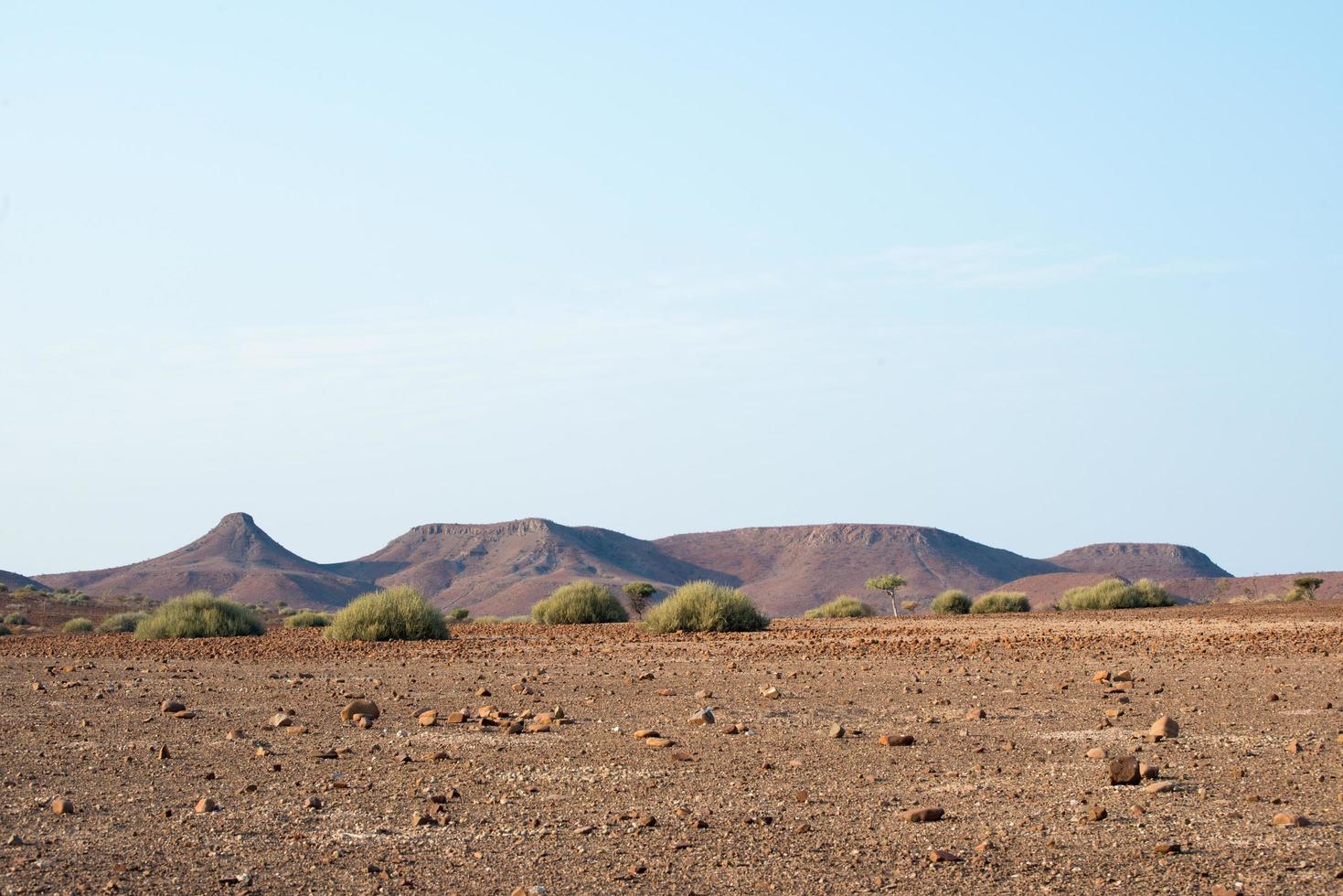 vackert torrt landskap i damaraland. bergskedja och buskar. Namibia foto