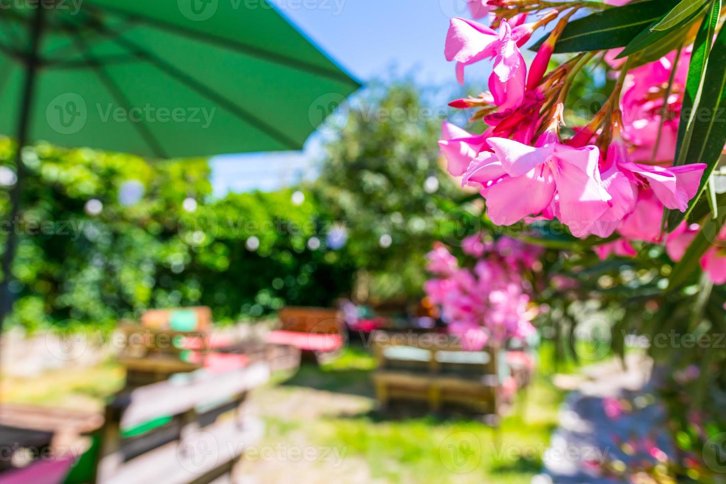 terrasscafé på sommaren foto