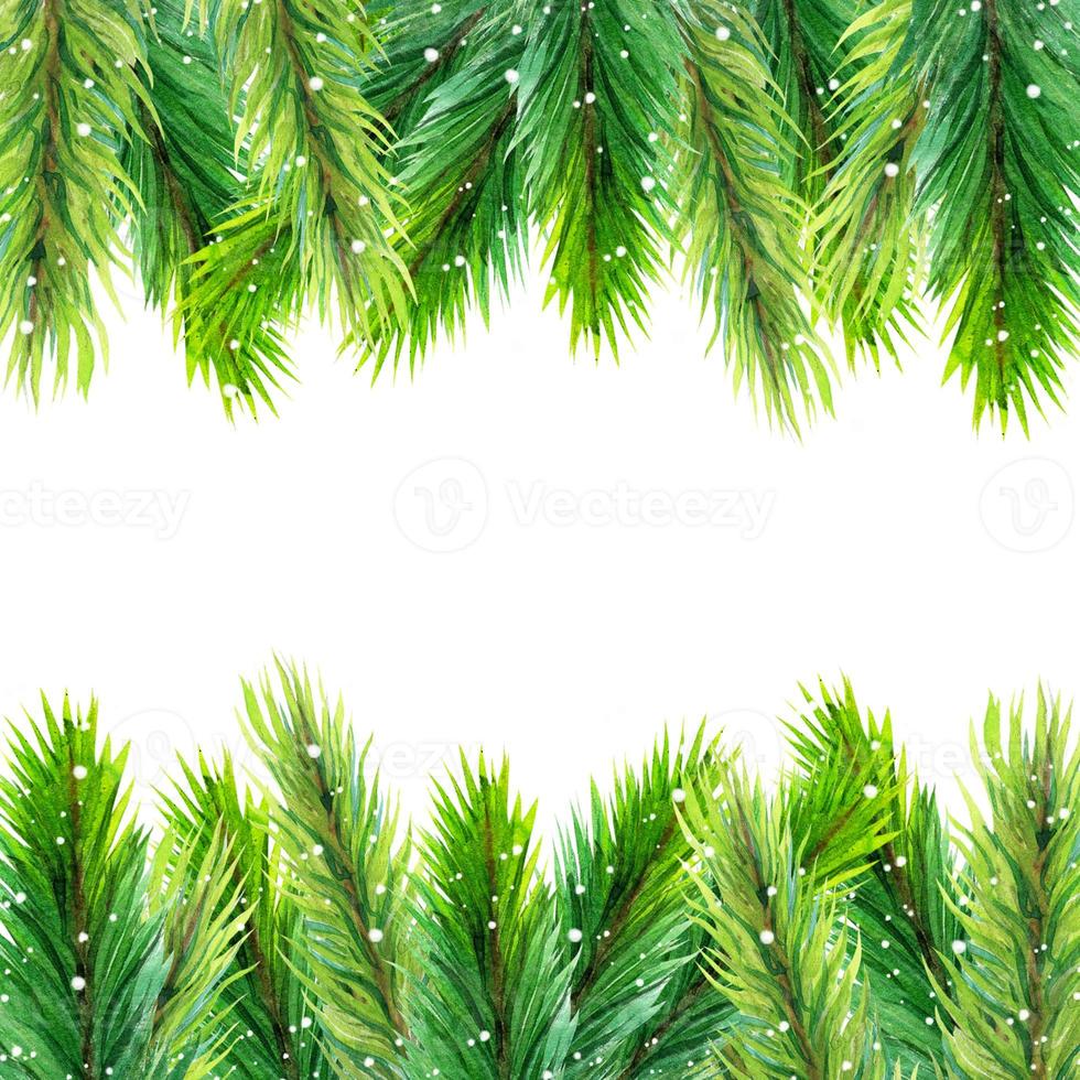 ram av akvarell barrträd grenar. handritade vintergröna kvistar - gran, gran, tall, ceder. juldekoration med snöflingor. säsongsbetonad botanisk prydnad med kopia utrymme. foto