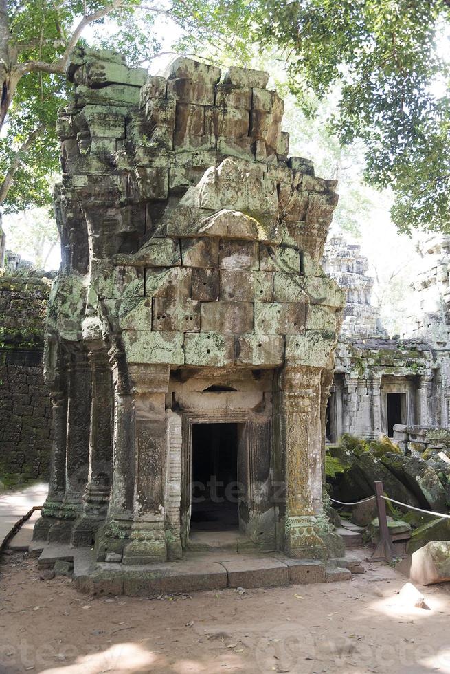 ett tempel i angkor wat. foto