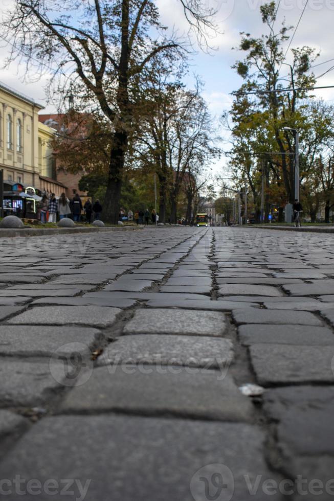 forntida lviv resefoto, gatufoto. foto