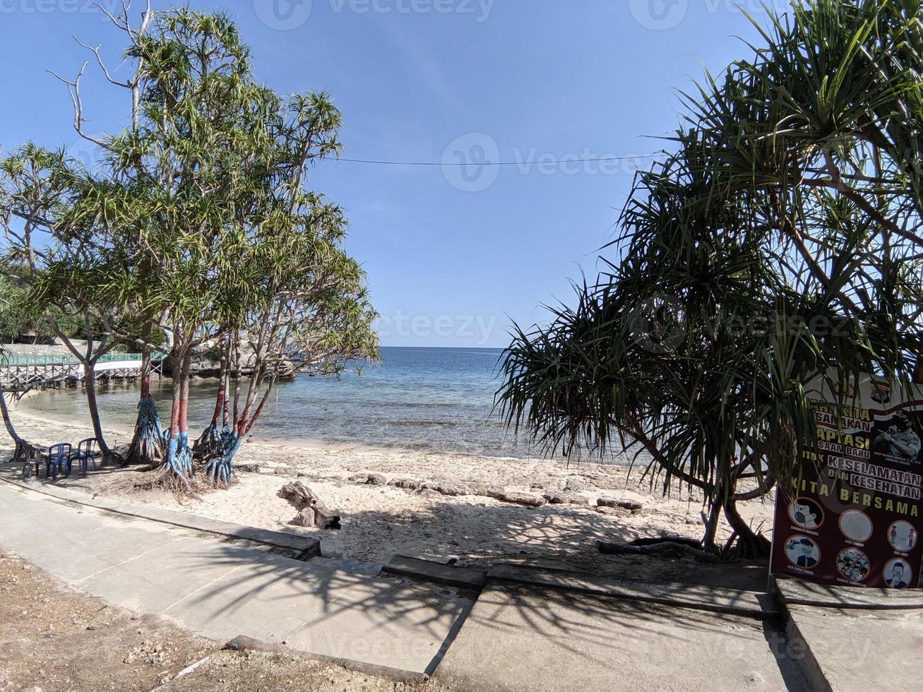 datum strandlandskap sulawesi indonesien foto