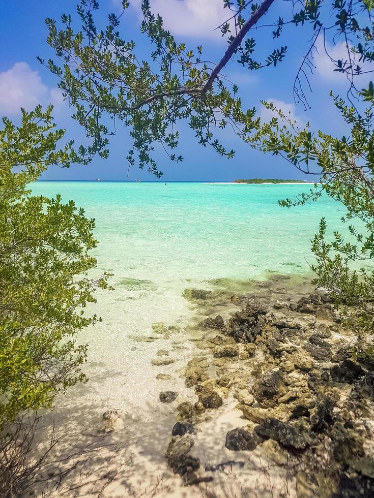 naturliga tropiska turkosa sandbanksöar madivaru finolhu rasdhoo atollen maldiverna. foto