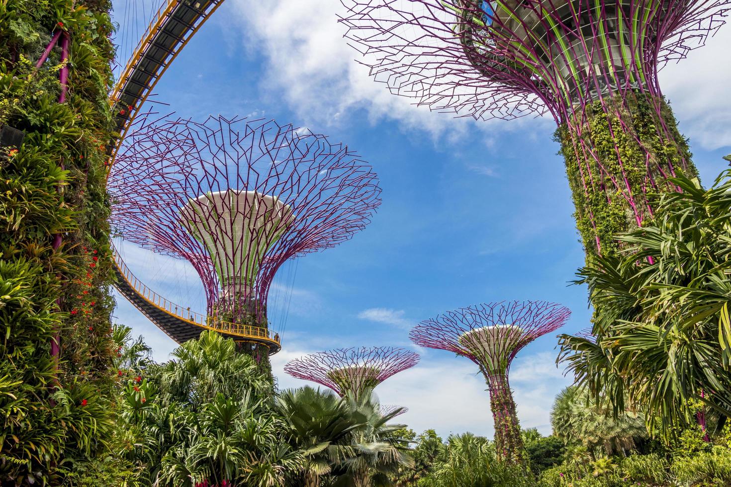futuristiska trädgårdar vid bukten och superträdlunden i singapore. foto