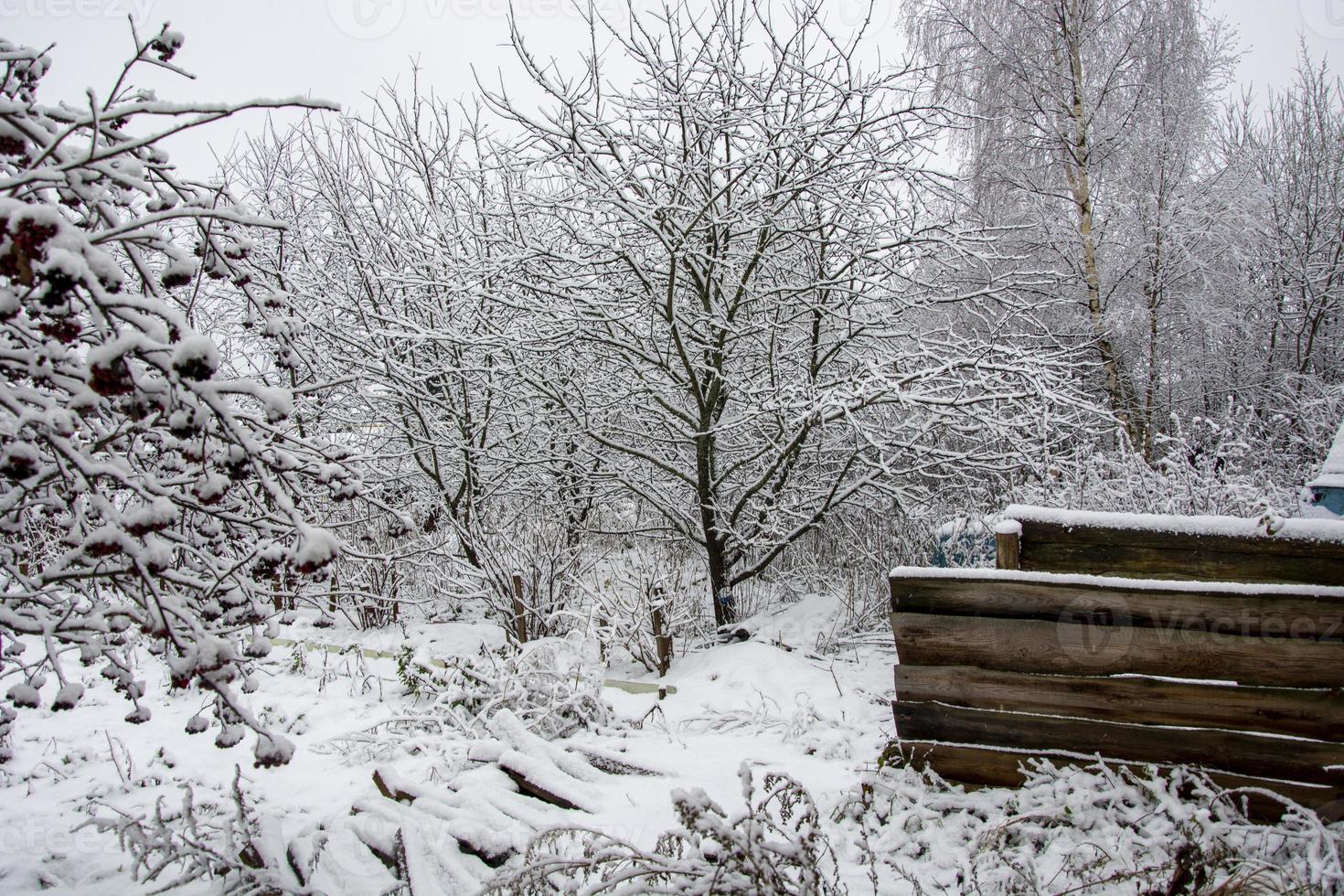 landsbygden i snön. pittoreska snöiga vinterlandskap. snö på träd och buskar. foto