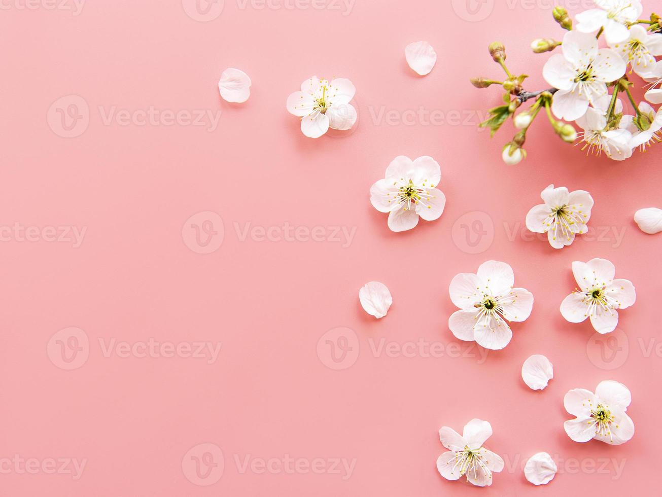 färgglada påskägg med vårblomningblommor foto