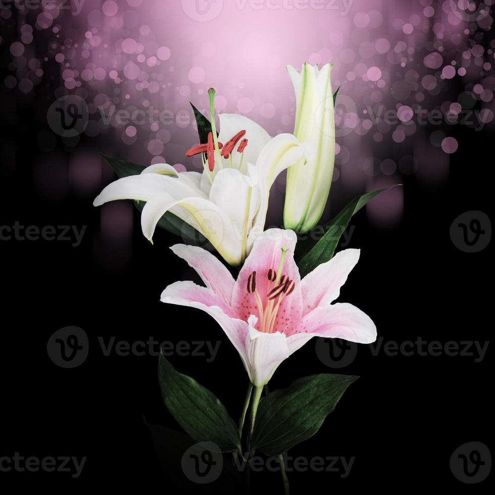 bokeh abstrakt glitter lighflower vita liljor på en bakgrundsfärg bakgrund foto