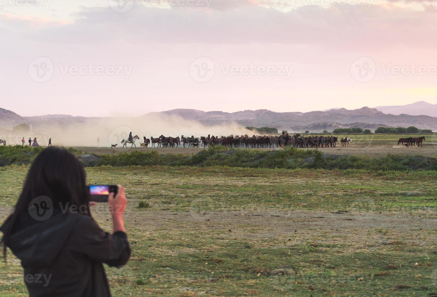 kvinnlig turist ta fotografi av besättningen av vilda hästar i hormetci byn foto