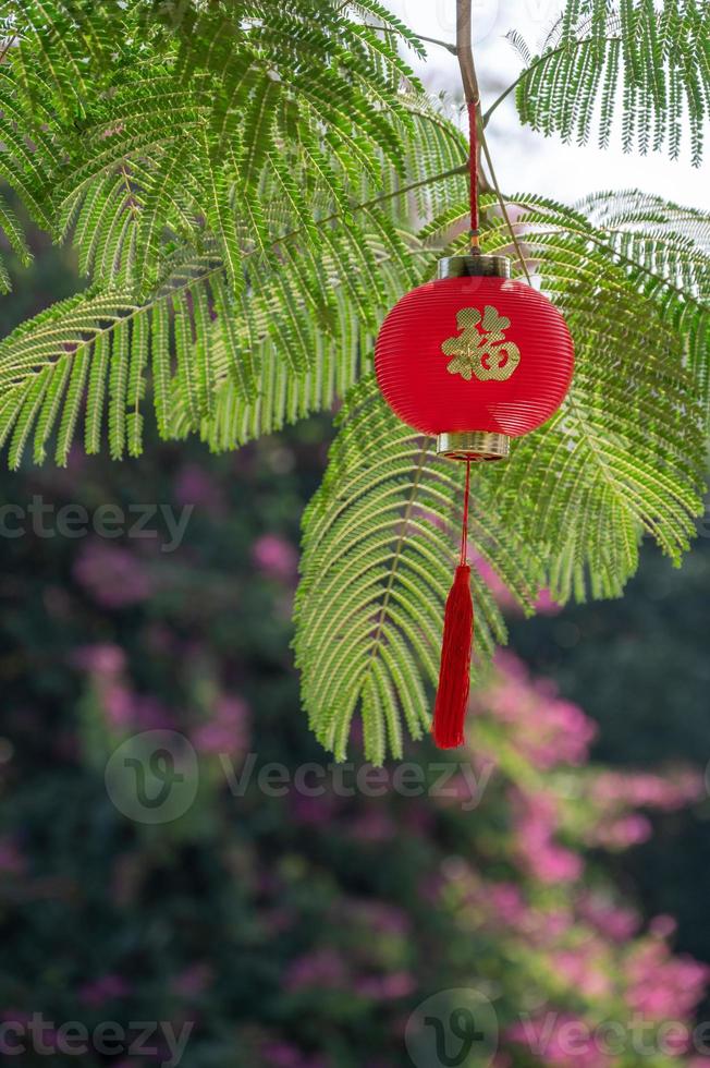 röda lyktor hängs på träden under den blå himlen, med det kinesiska ordet fu, som betyder tur foto