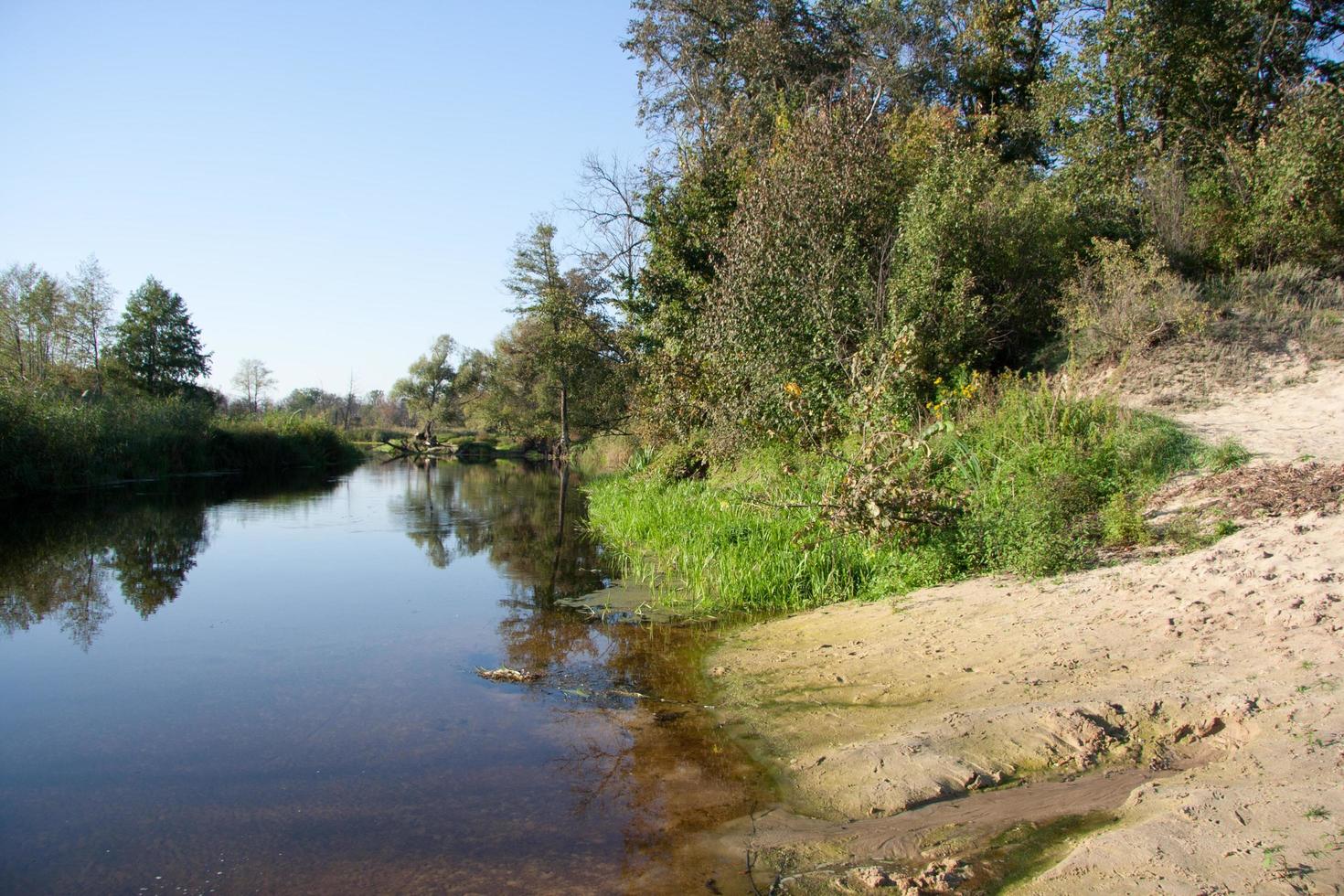 sommar flodlandskap foto