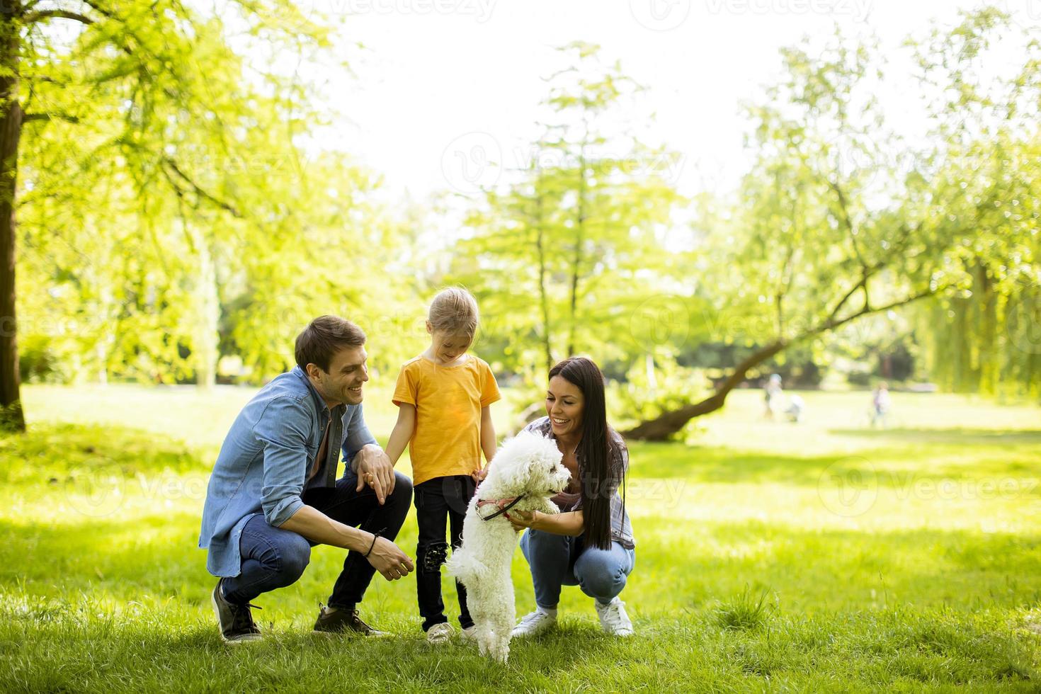 vacker lycklig familj har kul med bichon hund utomhus foto