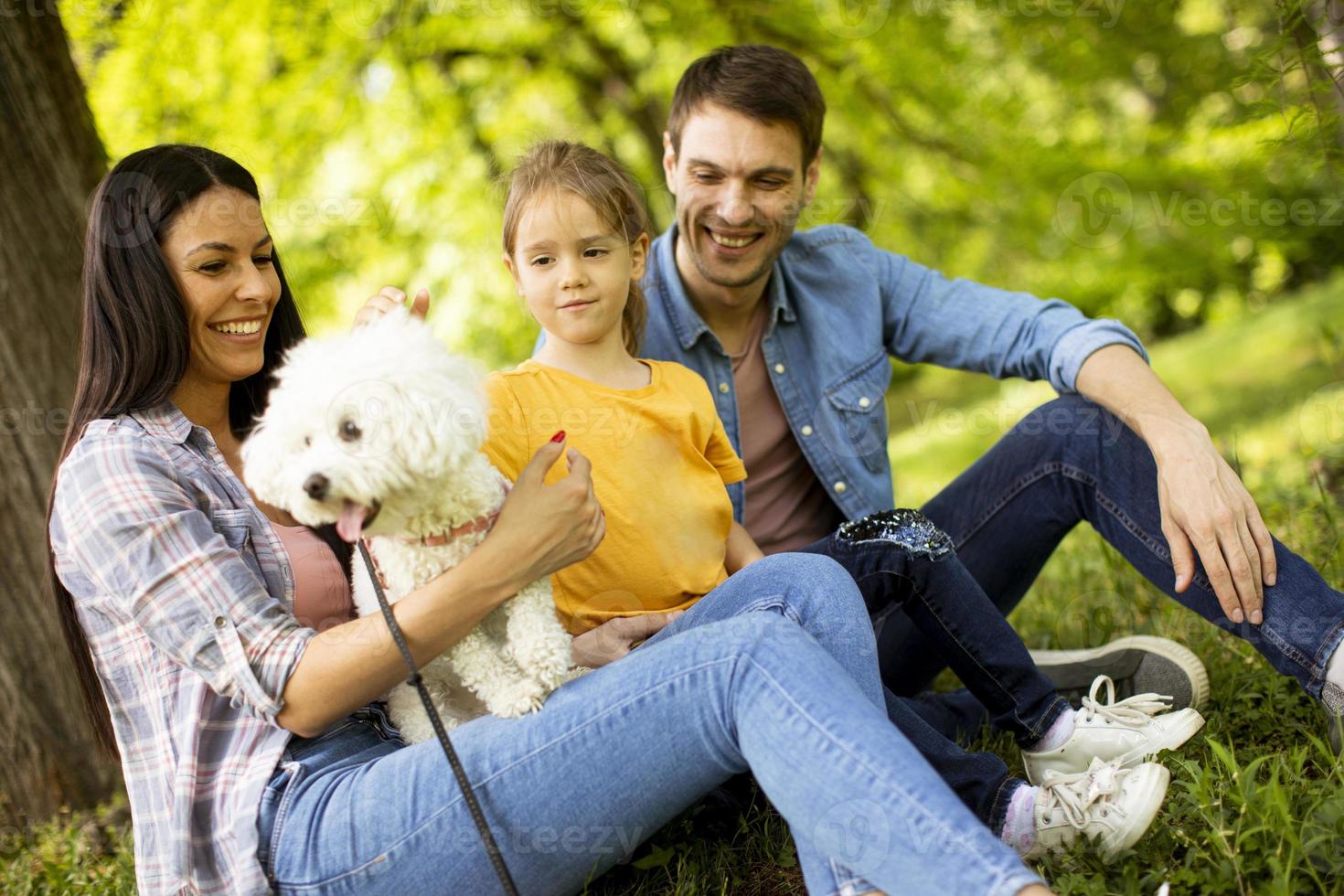 vacker lycklig familj har kul med bichon hund utomhus foto
