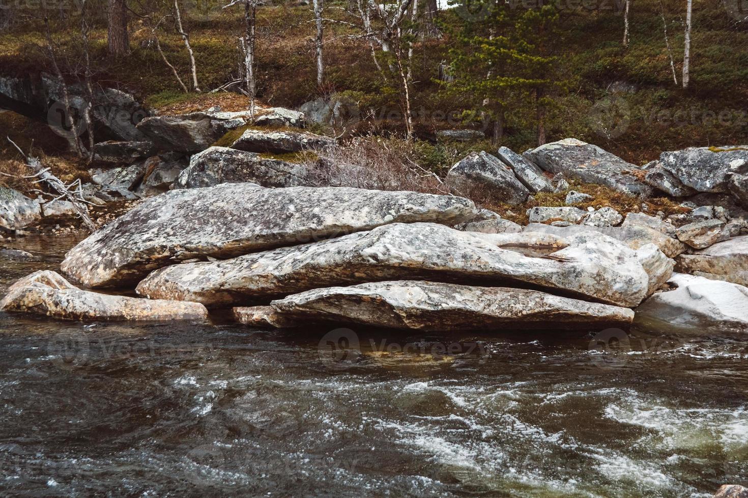 landskap av bergsfloden som flyter bland stenar och skog. plats för text eller reklam foto