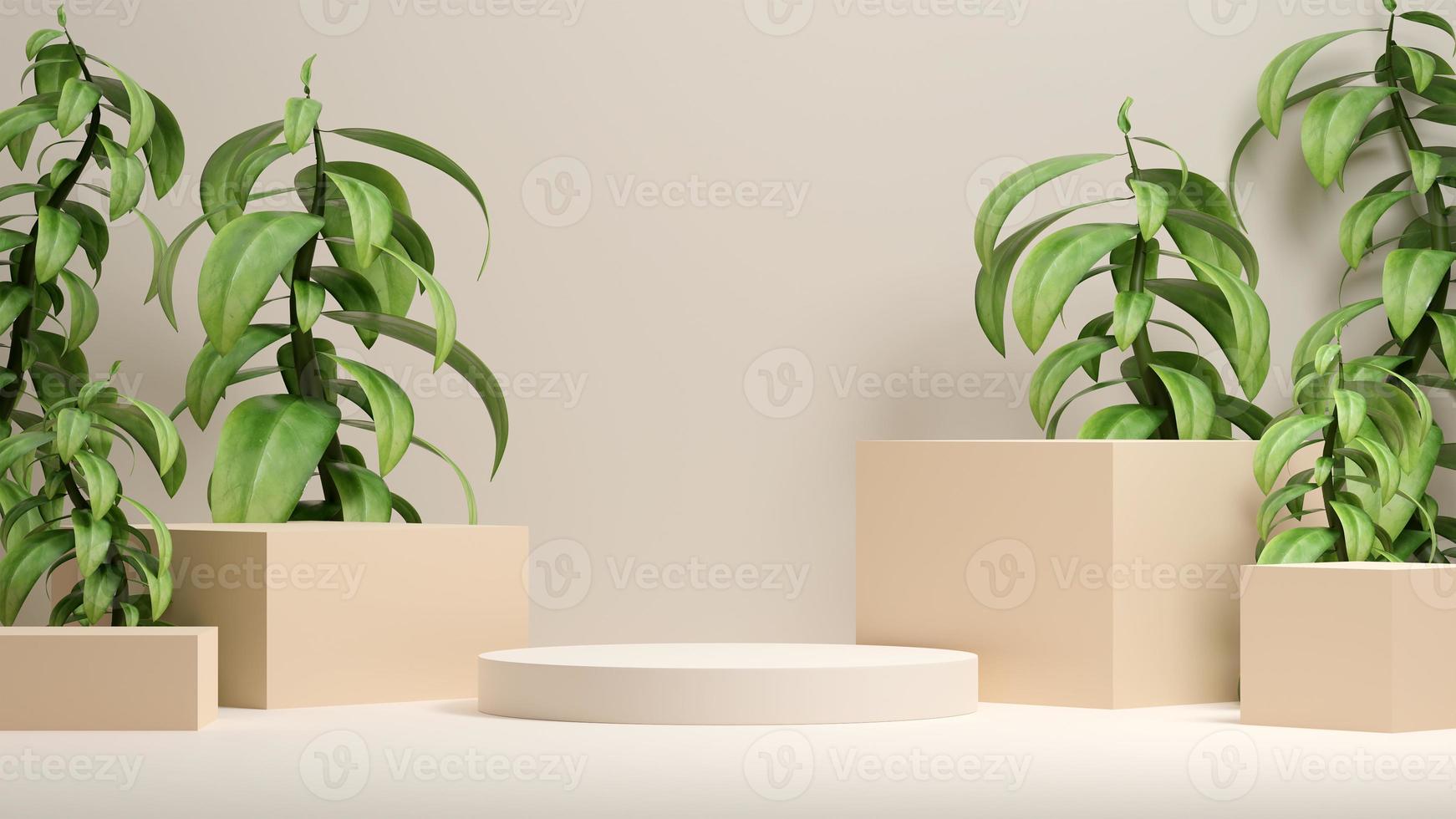 3D illustration rendering bild av tomt utrymme mockup podium natur med tema för produktvisning foto