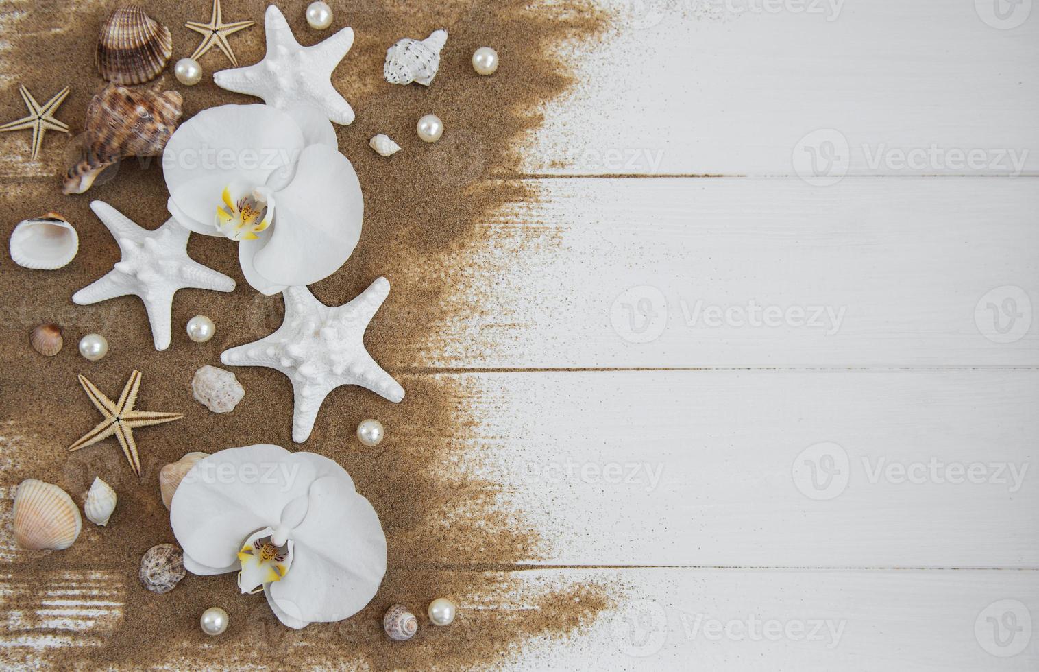 snäckskal med sand och orkidéblommor foto