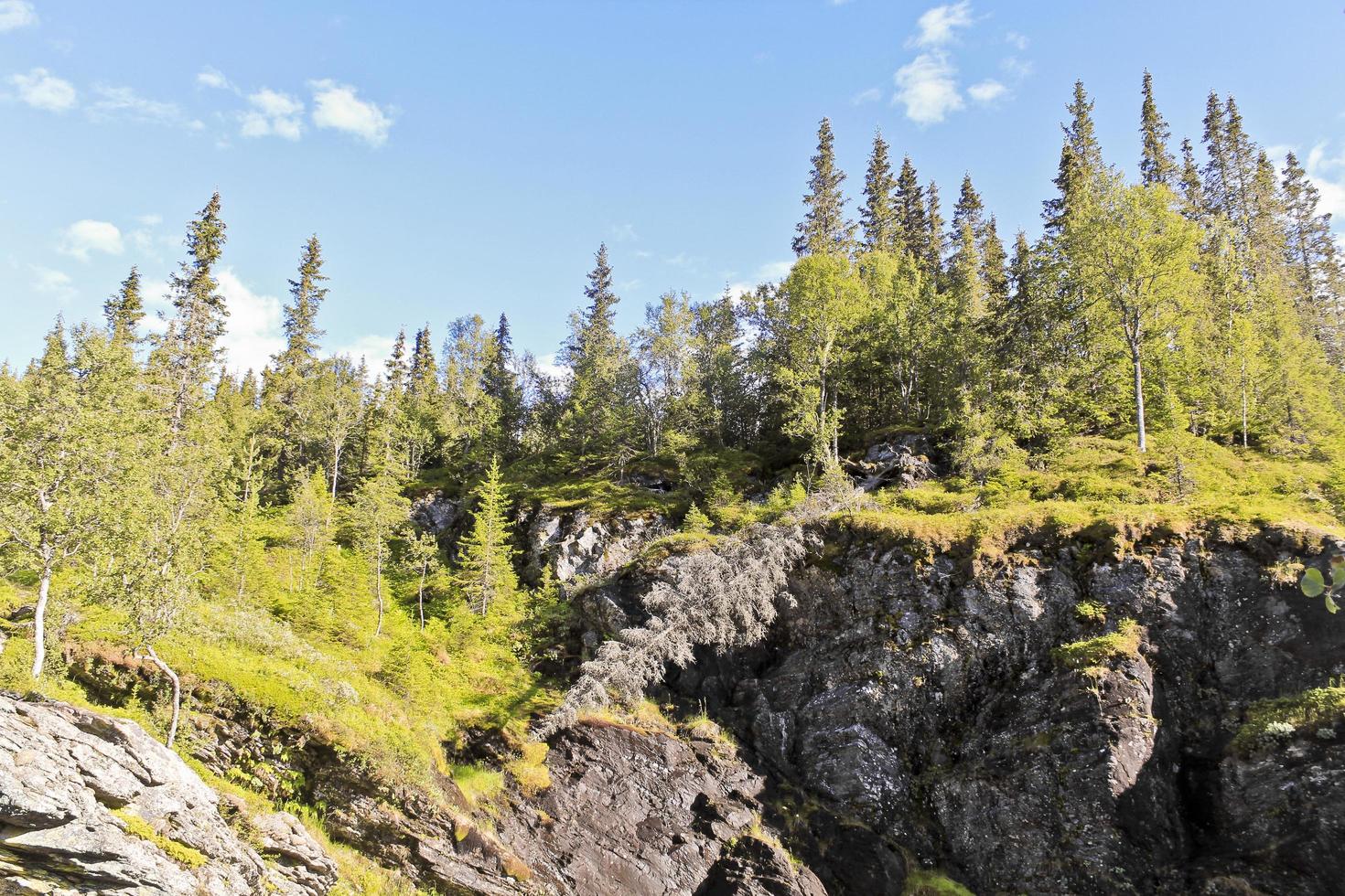 fallna döda trasiga träd över kanjonen från Rjukandefossen vattenfall. foto