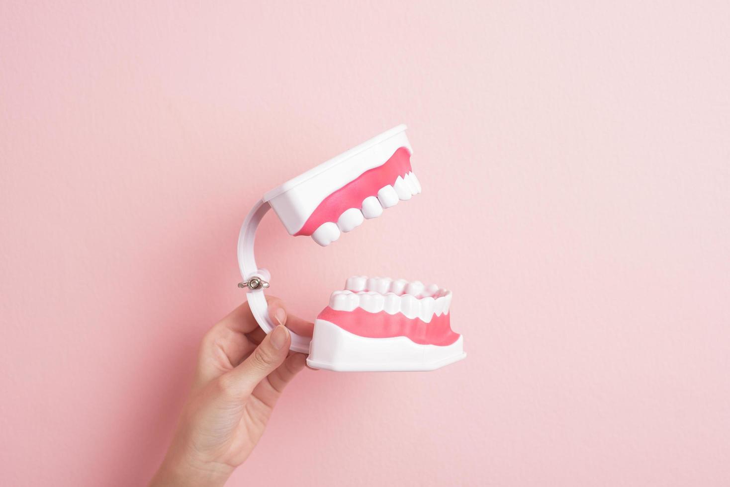 närbild av kvinna hand håller konstgjorda modell tänder för demonstration dental ren foto