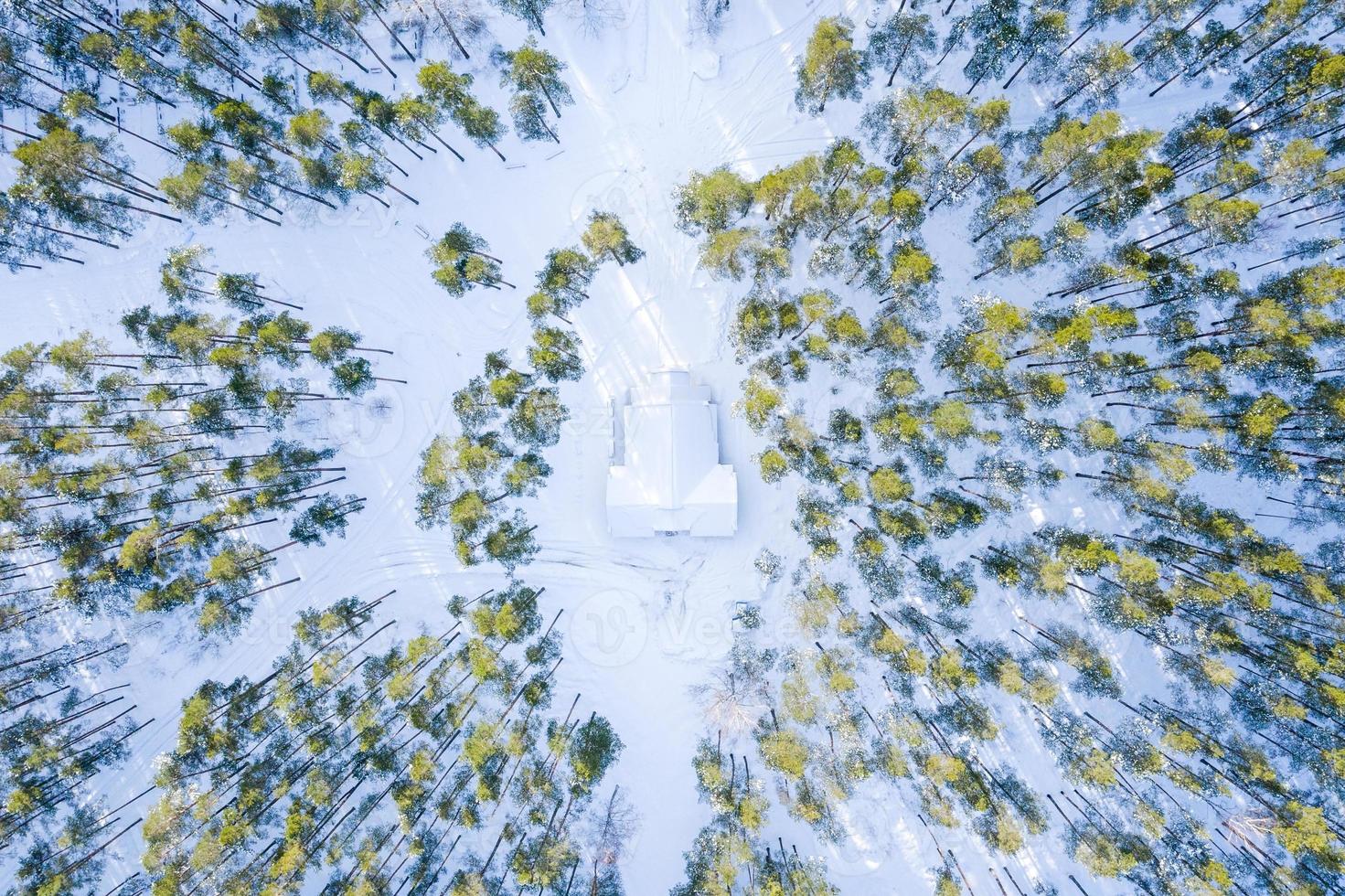 Flygfoto över vinterskogen täckt av snö. drönarfotografering foto