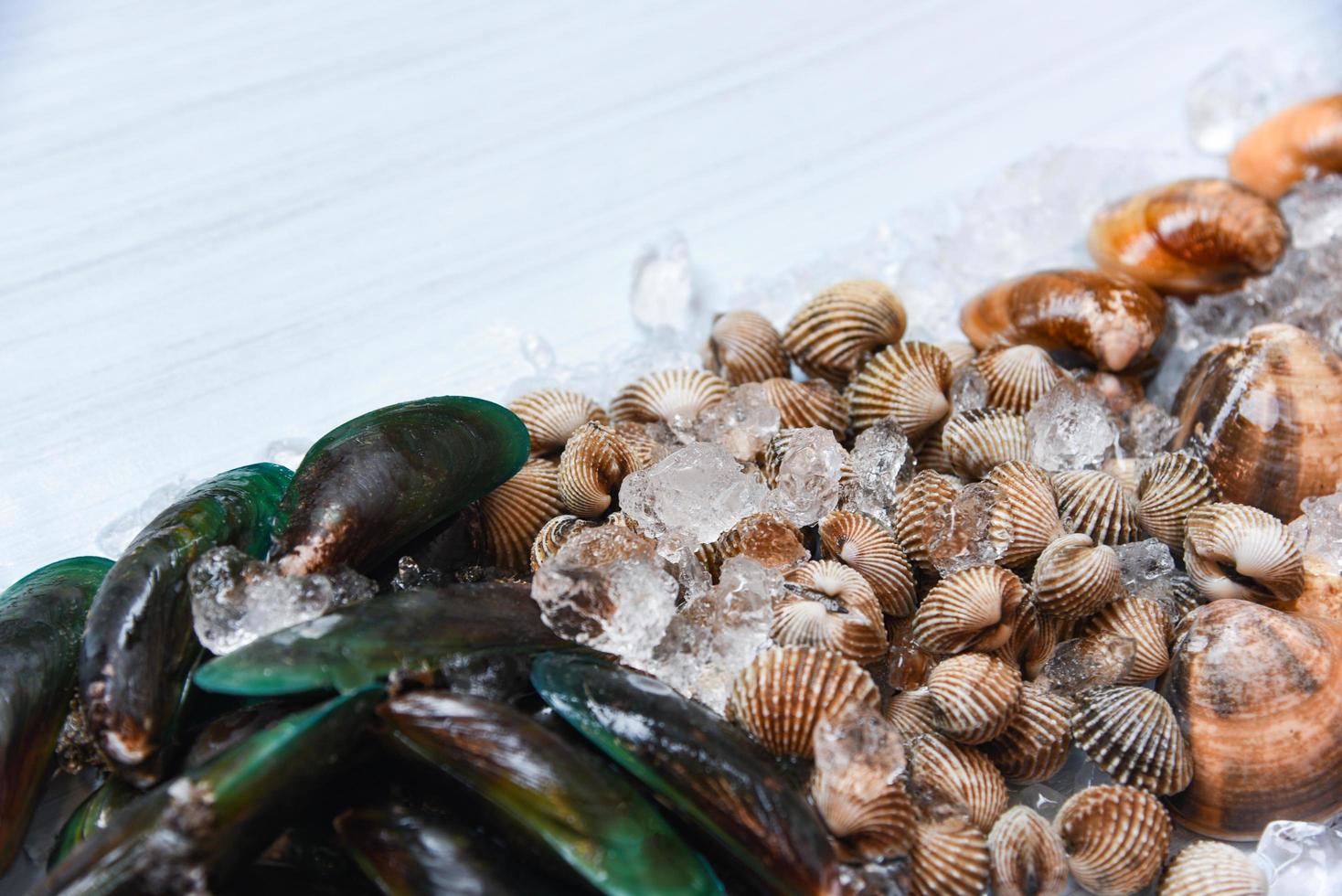 skaldjur på isbakgrund färskt råblod hjärtmussla gröna musslor och emalj venus skal ocean gourmet foto