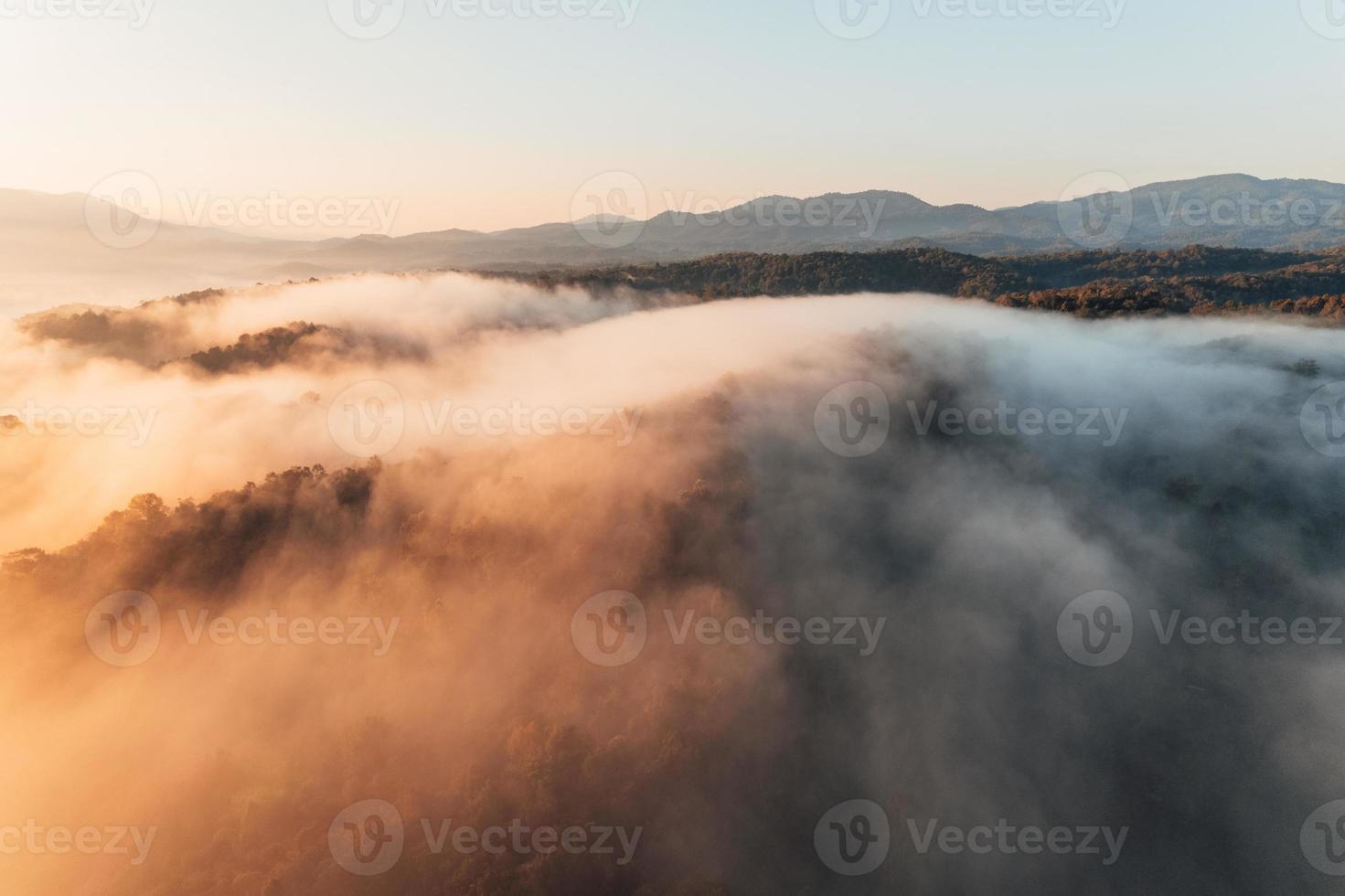 gyllene morgondimma i skogen foto