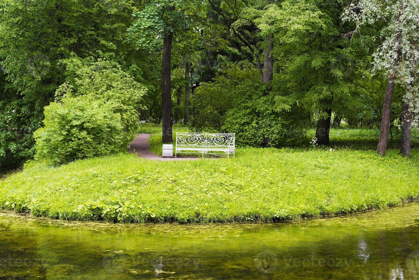 bänk i sommarparken nära floden. foto