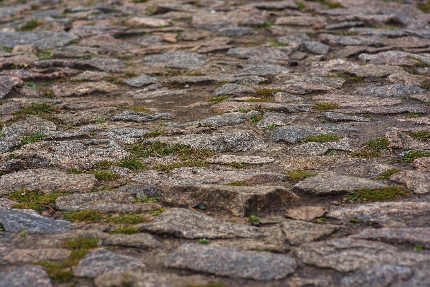 trottoar kantad med gatsten. grönt gräs bryter mellan täckstenarna foto