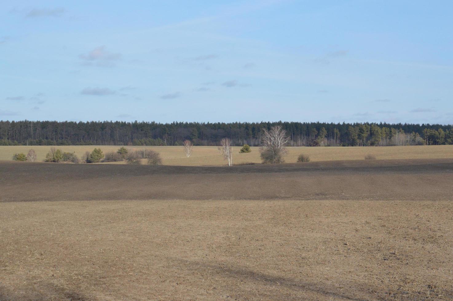 panorama av jordbruksfält på vintern foto