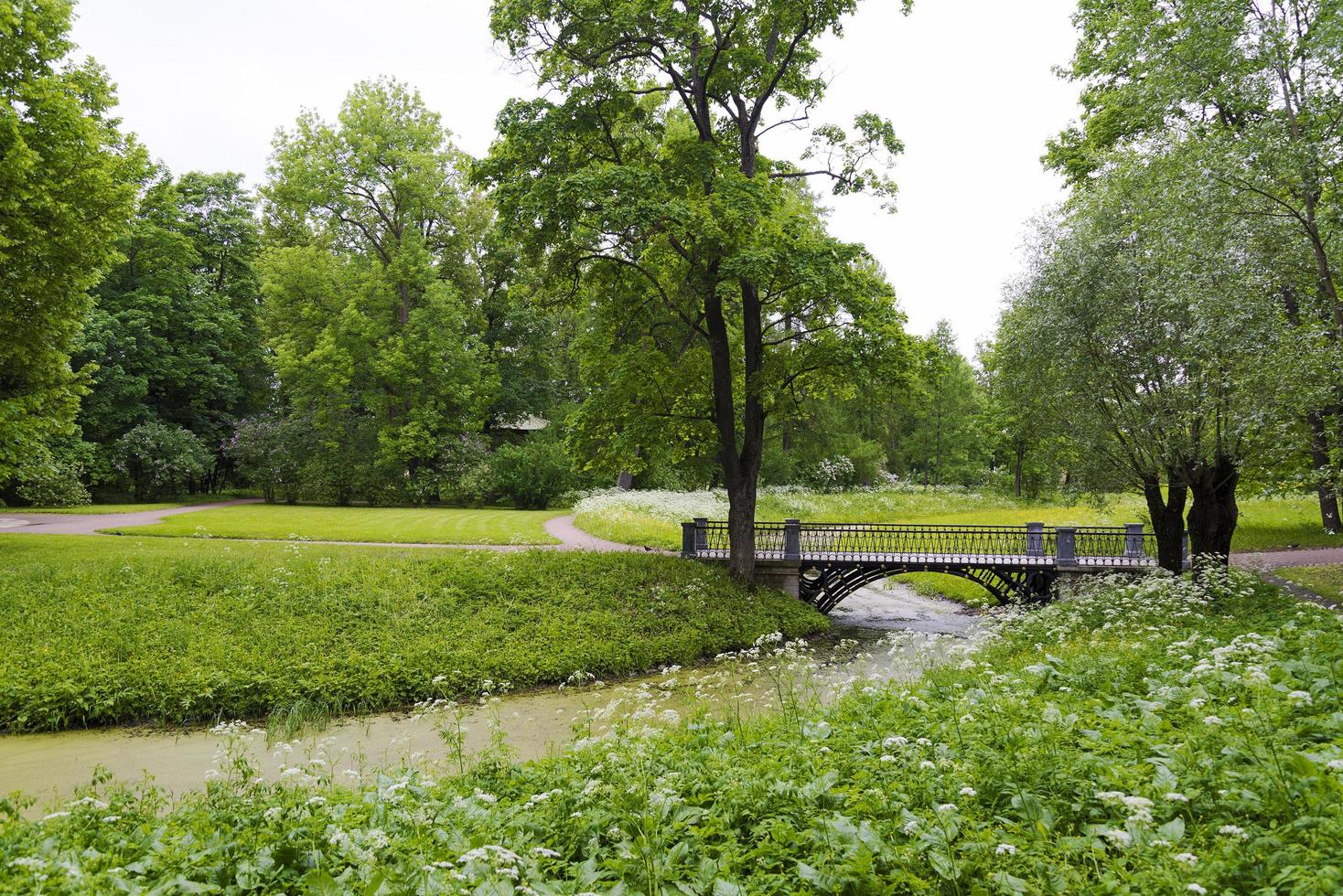 stenbro med en båge över bäcken i sommarparken. foto