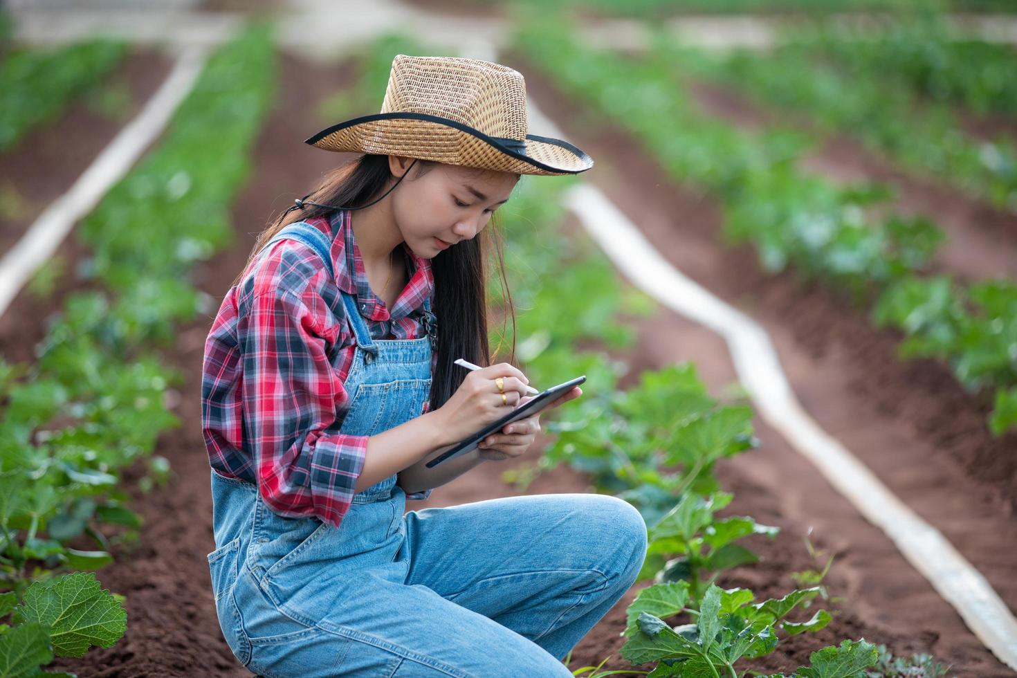 Asiatiska kvinnliga agronomer och lantbrukare som använder teknik för inspektion i jordbruks- och ekologiska grönsaksfält foto