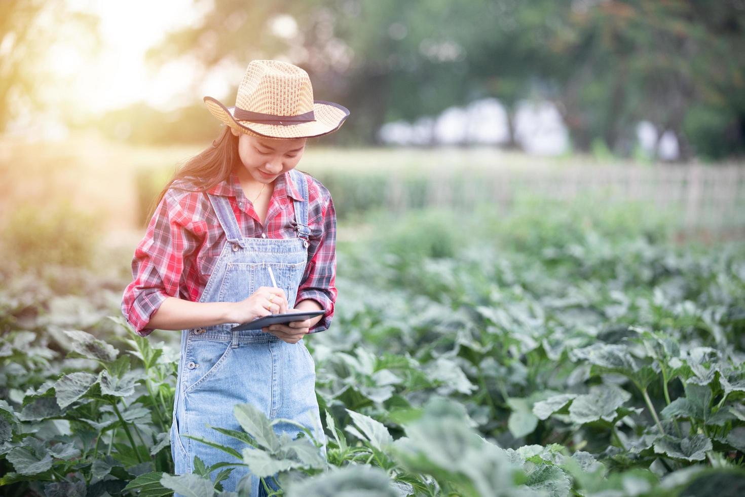 asiatisk kvinnlig agronom och bonde som använder teknik för inspektion i jordbruks- och ekologiska grönsaksfält foto