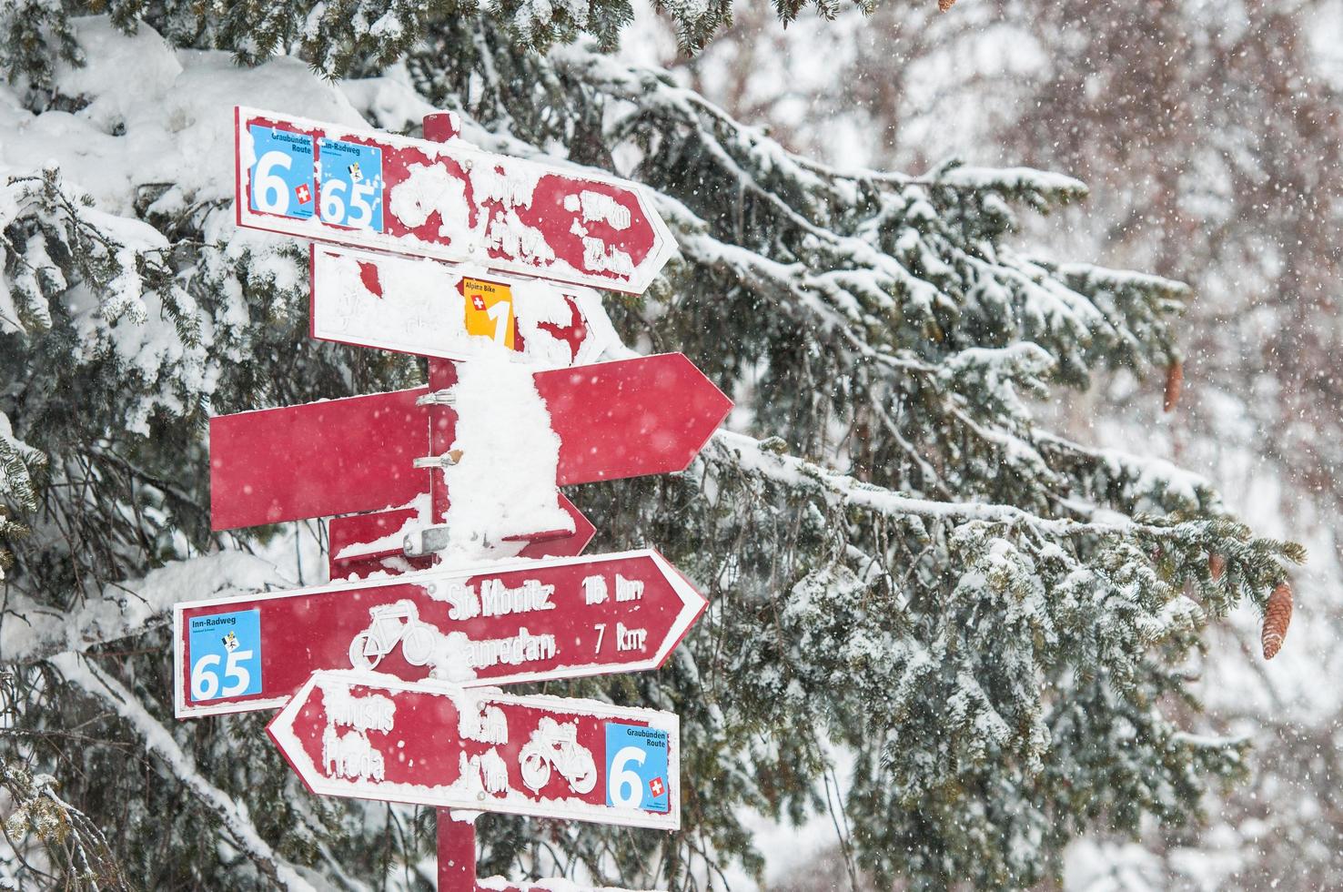 signalvägar snö i schweiz foto