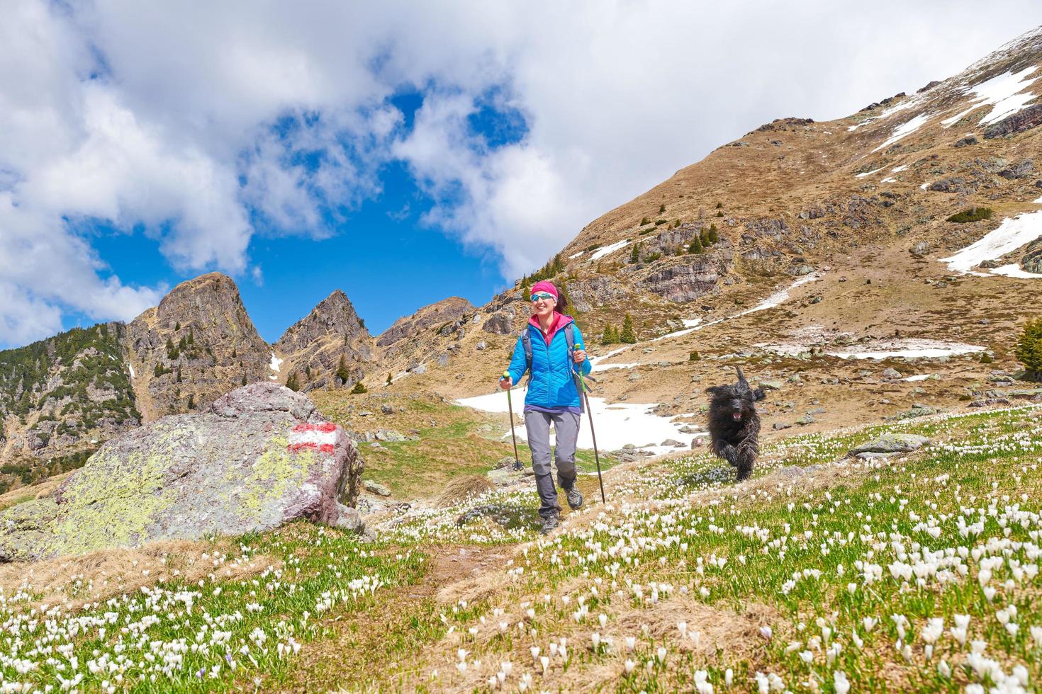 en sportig kvinna i bergen under en utflykt med sin hund foto