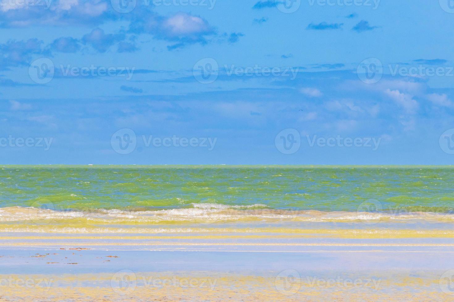 naturlig holbox ön strand sandbank panorama turkost vatten vågor mexico. foto