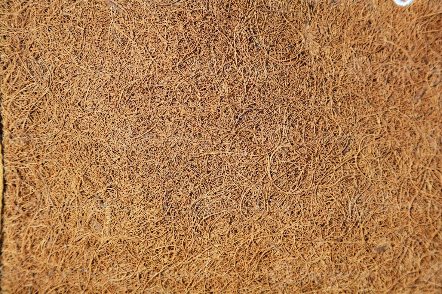 trä abstrakt konsistens. yta grunge bakgrund. smutsigt trä effektmönster. materiell bakgrund. foto