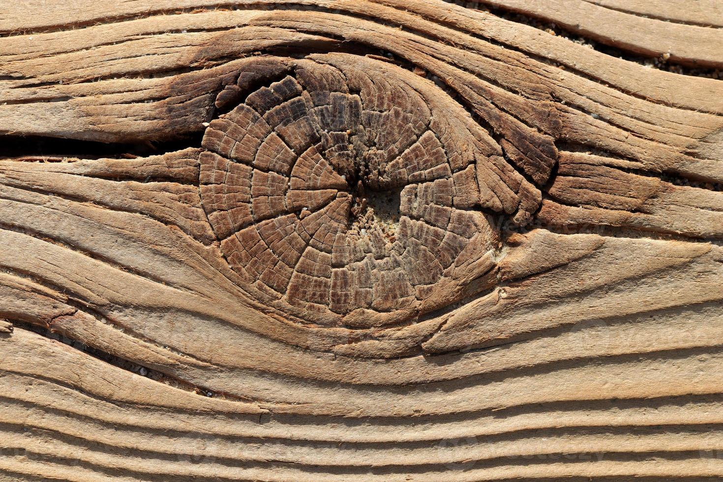 trästruktur. träskiva bakgrund. träd knut makro närbild. foto